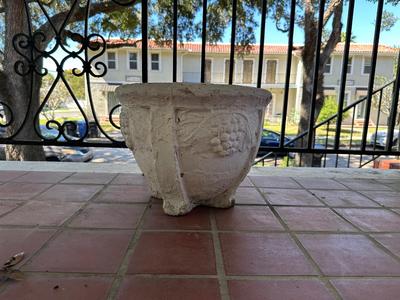 Large Cement Plant Pot