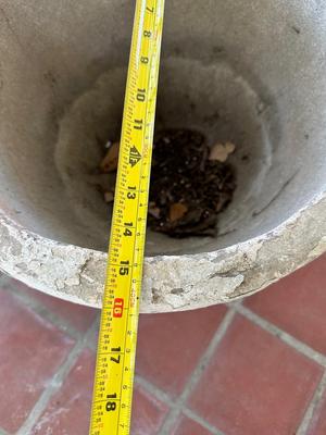 Large Cement Plant Pot