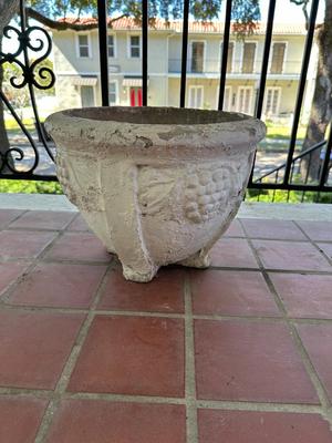 Large Cement Plant Pot