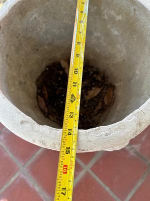 Two Cement Planters