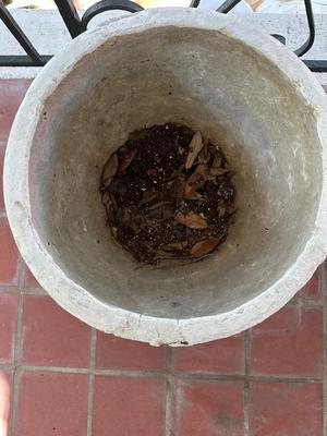 Two Cement Planters