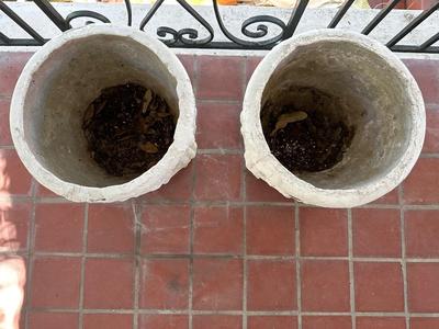 Two Cement Planters