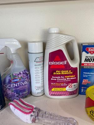 A VARIETY OF HOUSEHOLD CLEANER