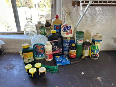 A VARIETY OF GARAGE, GARDEN, AND HOUSEHOLD CHEMICALS