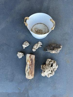 PETRIFIED WOOD AND OTHER ROCKS