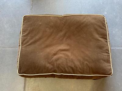 THICK DOG BED, GROOMING BRUSHES, HALTERS AND MORE