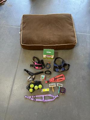 THICK DOG BED, GROOMING BRUSHES, HALTERS AND MORE