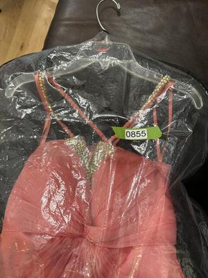 Salmon Formal Dress