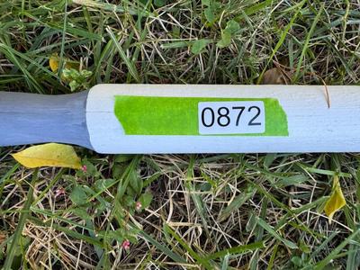 Boat Oars/Paddles - Wooden