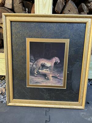 Framed Leopard Home Decor Picture