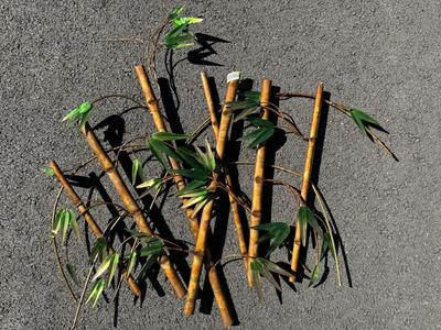 Beautiful Metal Bamboo Wall Art Decor