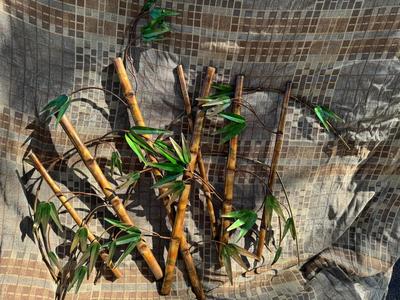 Beautiful Metal Bamboo Wall Art Decor