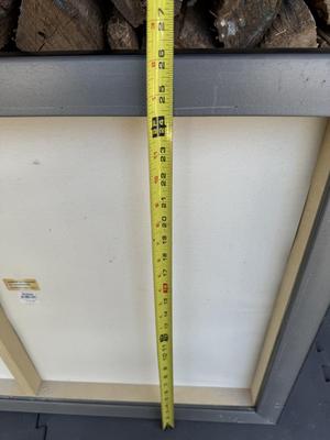 Poppy Flower Wall Art - Large