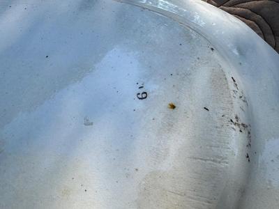 Vintage Asian Serving Tray/Plate & Foil Decor