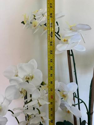 Two Artificial Orchid Plants