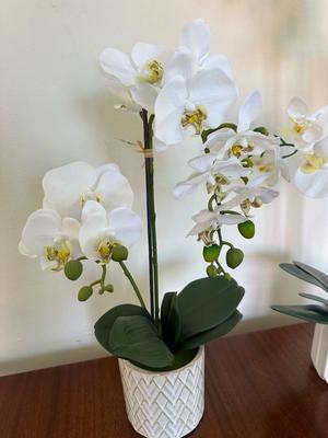 Two Artificial Orchid Plants