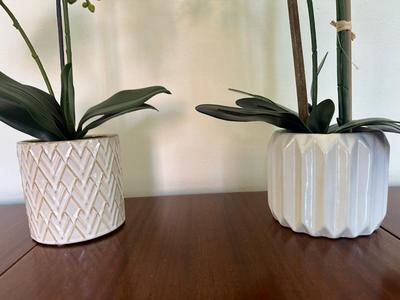 Two Artificial Orchid Plants