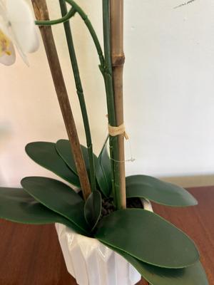 Two Artificial Orchid Plants