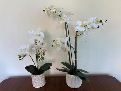 Two Artificial Orchid Plants