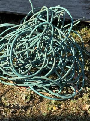 Electrical Cord