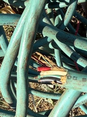 Electrical Cord