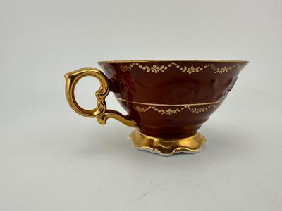 Rembrandt Gloria Fine Porcelain Tea Cup w/ Saucer