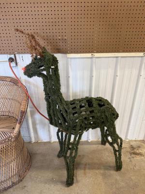 Deer*