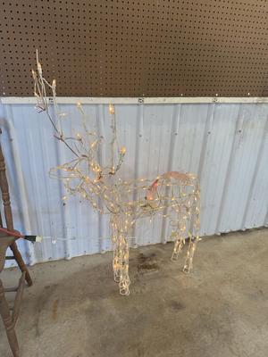 Deer*
