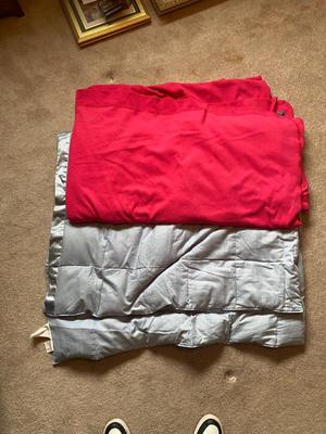 LARGE SOFT PINK BLANKET AND BLUE COMFORTER