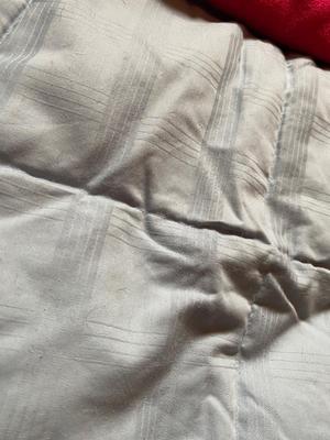 LARGE SOFT PINK BLANKET AND BLUE COMFORTER