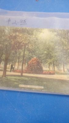 LOT 9 FOUR OLD POSTCARDS OF GREELEY COLORADO