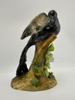 Black Widow - J.T. Jones - Crown Staffordshire
