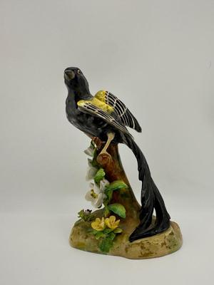 Black Widow - J.T. Jones - Crown Staffordshire
