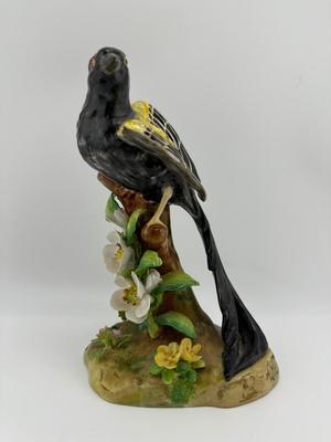 Black Widow - J.T. Jones - Crown Staffordshire