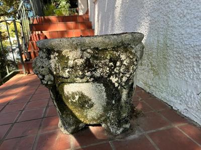 Large Cement Plant Pot