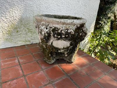 Large Cement Plant Pot