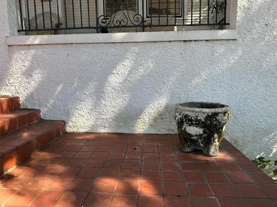 Large Cement Plant Pot