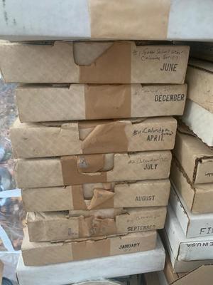 HUGE Collectors Plates Lot Birds & More