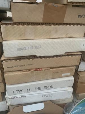 HUGE Collectors Plates Lot Birds & More