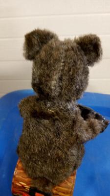 LOT 12 OLD BATTERY OPERATED DRINKING BEAR
