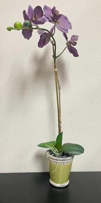 Artificial Purple Orchid