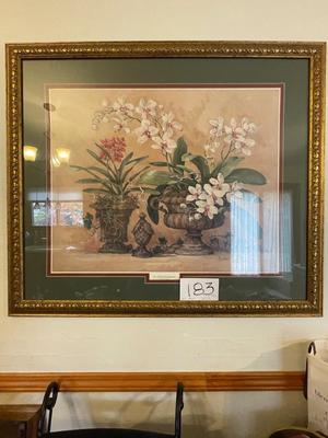 AN ORCHID RENAISSANCE BY BARBARA MOCK