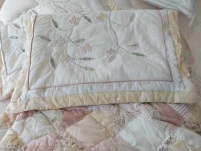 Comforter-Shams & Bed Pillows