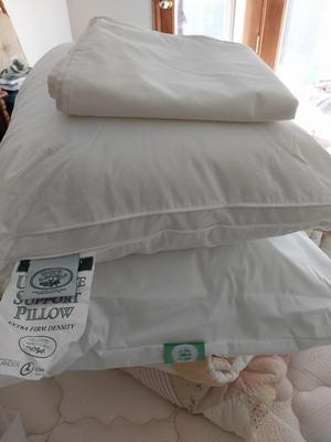 Comforter-Shams & Bed Pillows
