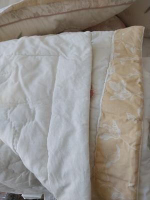 Comforter-Shams & Bed Pillows