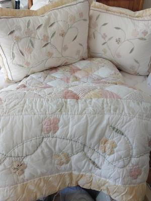 Comforter-Shams & Bed Pillows
