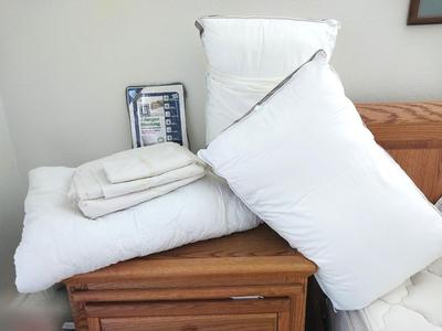 Thick Mattress Pad-Posturepedic Pillows-Sheet Set and New Allergan Pillow Covers