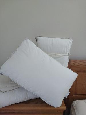 Thick Mattress Pad-Posturepedic Pillows-Sheet Set and New Allergan Pillow Covers