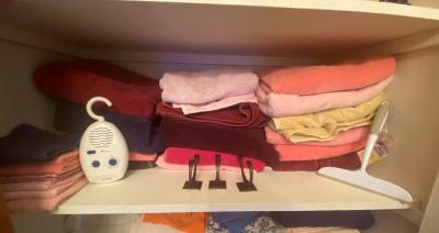 TOWELS, WALL HOOKS & A SHOWER RADIO