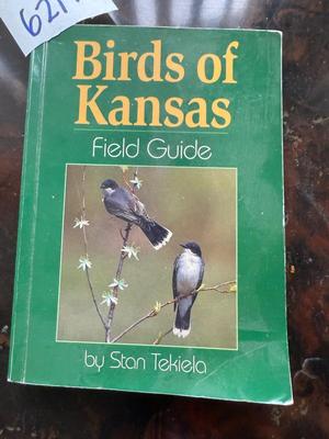 Birds and trees